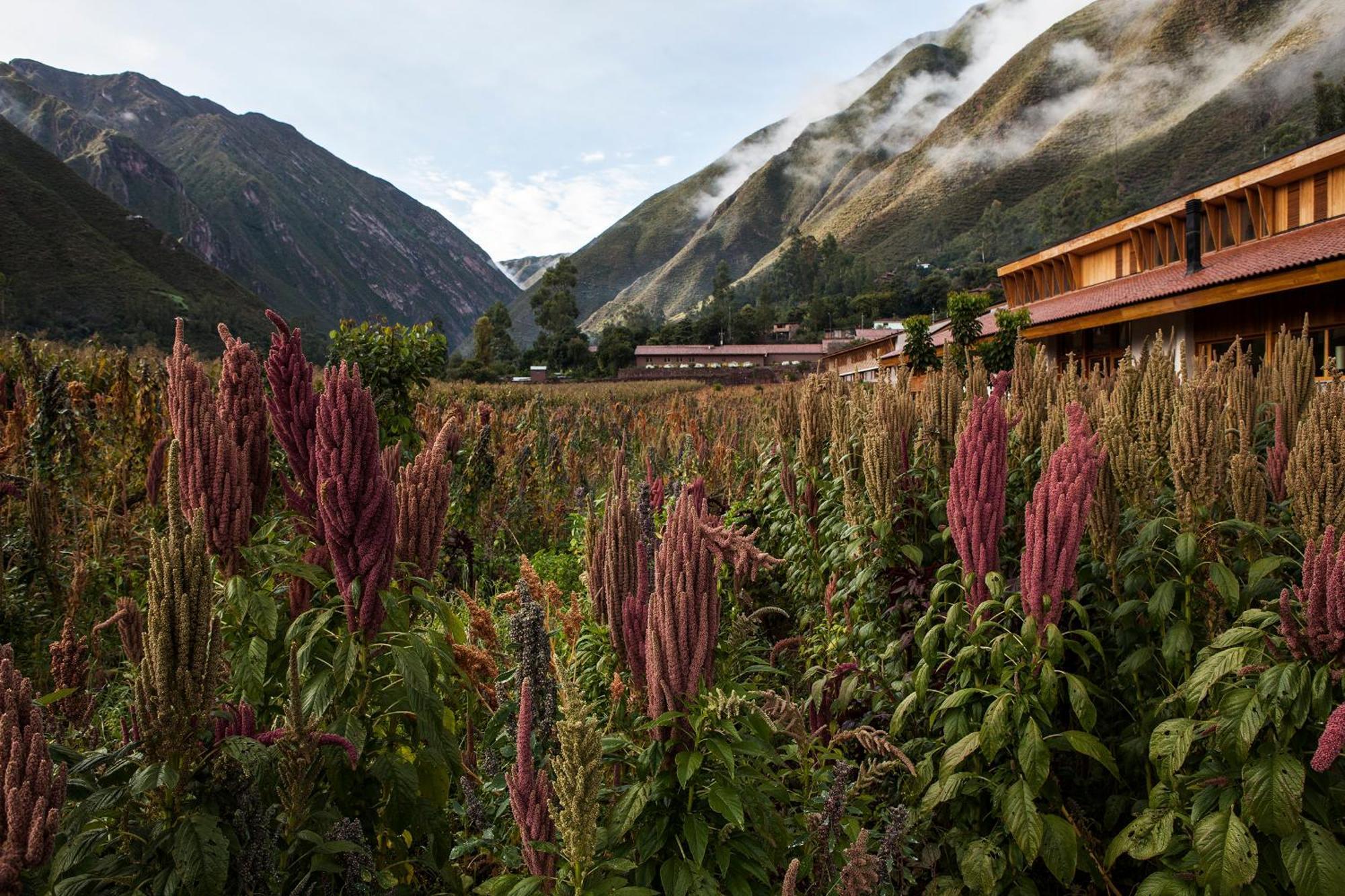 Explora Valle Sagrado Урубамба Екстериор снимка